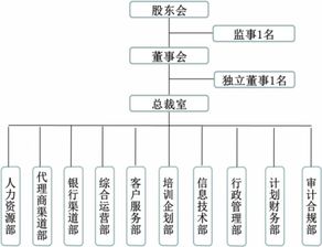 保險代理公司的組織結(jié)構(gòu)與技術(shù)服務(wù)體系