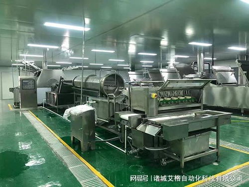 探秘諸城艾格自動(dòng)化 解鎖鵪鶉蛋加工全流程設(shè)備奧秘與技術(shù)服務(wù)
